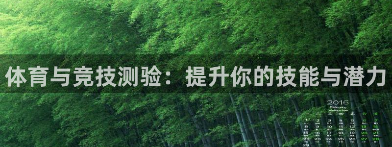 米兰体育场：体育与竞技测验：提升你的技能与潜力