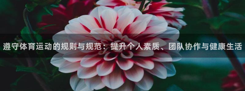 米兰体育最新版下载：遵守体育运动的规则与规范：提升个人素质、团队协作与健康生活