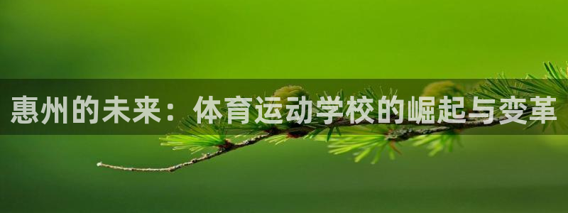 米兰体育网站：惠州的未来：体育运动学校的崛起与变革